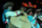 Conciertos musicales