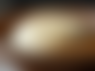 The Science of 48-Hour Fermented Pizza Dough