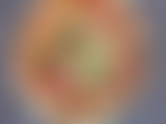 Dough Dorks Neapolitan Dough balls, hand stretched and cooked