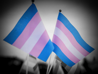 The Constitutionality of Transgender Athlete Bans: Why the Real Battle Isn’t in the Supreme Court