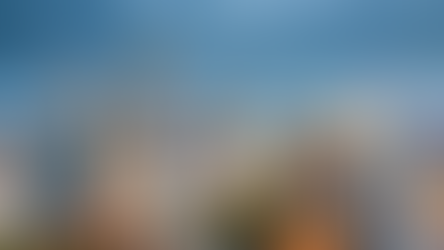 Top 10 Must-Have Features for Small Business Website in Charlotte