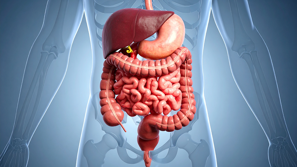 Mastering Your Microbiome: A Strategic Guide to Gut Health for Longevity