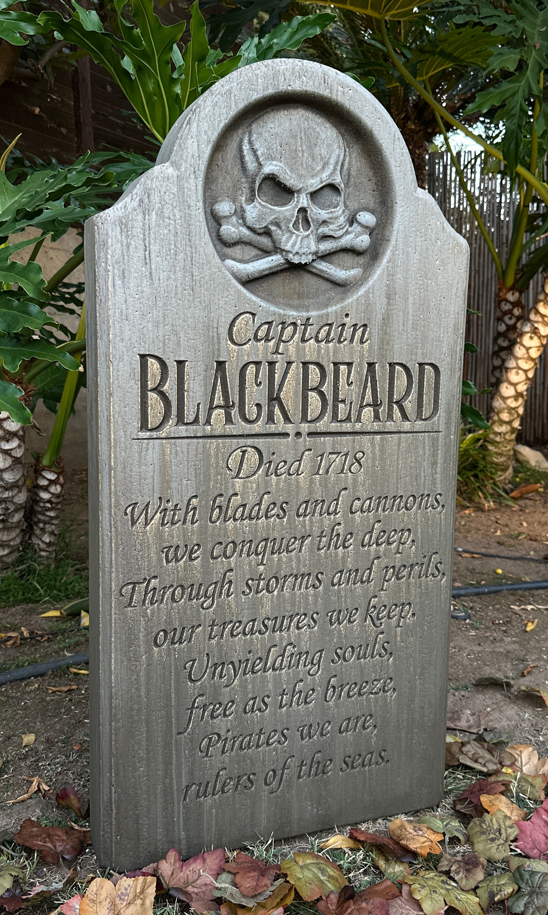 Captain Blackbeard - Skull