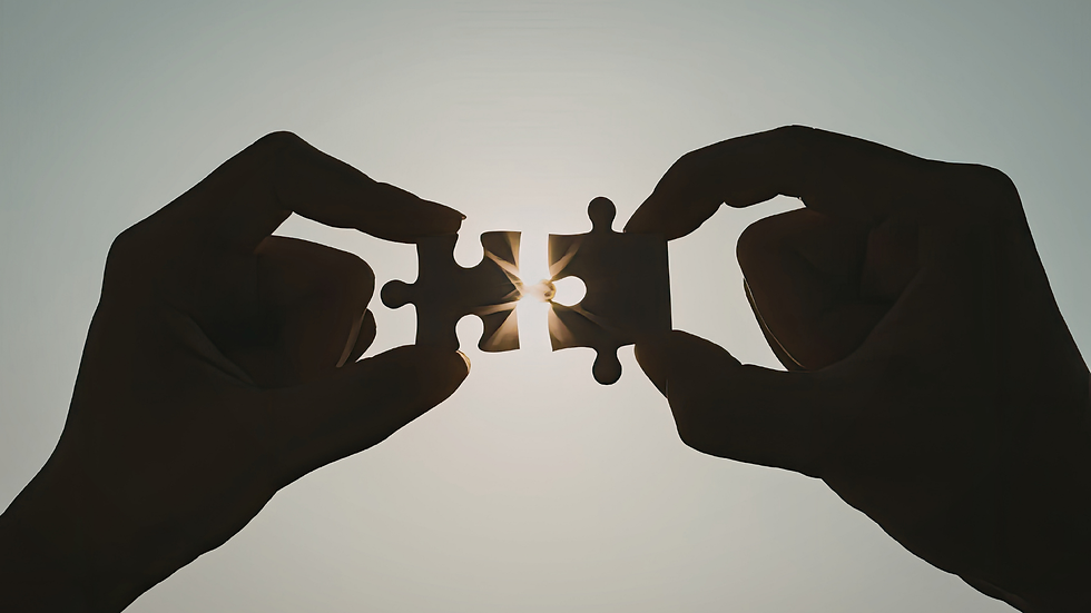 The Social Prescription: Why Connection is the MostPowerful Medicine for Longevity