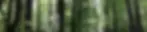 b7cc5e_58aec90c103e4643af7cc3da54996077~mv2.webp