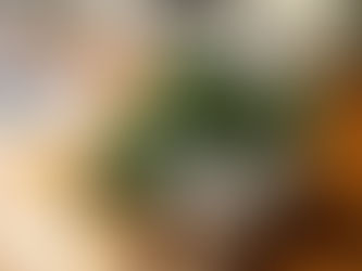 Mit Büchern basteln