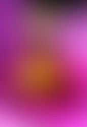 Insekten-Fotografie von: ©Lunci