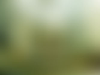 Neumond/Sonnenfinsternis in Schütze am 14.12.2020