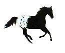 appyrun.gif