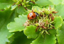 Fotografie von: ©Lunci