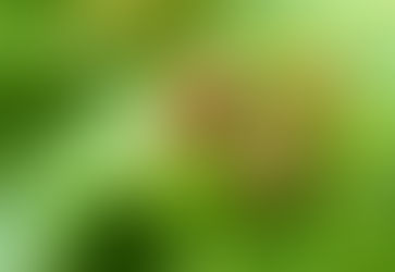 Fotografie von: ©Lunci