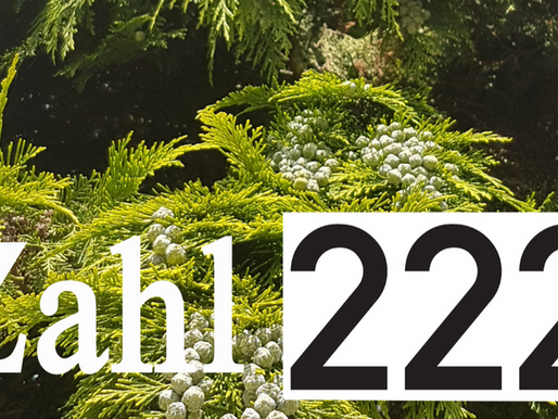 Die Zahl 222