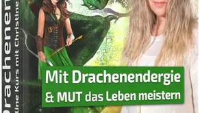 Erlebe eine magische Reise mit den Drachen!