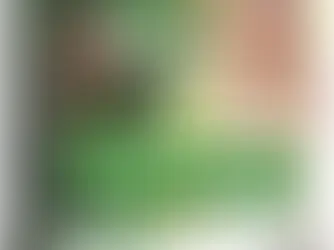 Erlebe eine magische Reise mit den Drachen!