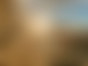 Die 5. Schriftrolle, von den Essenern