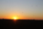 IMG_7290.JPG
