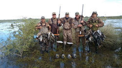 Argentina Duck Hunt/ HP WINGSHOOTING