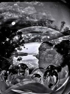 untitled image