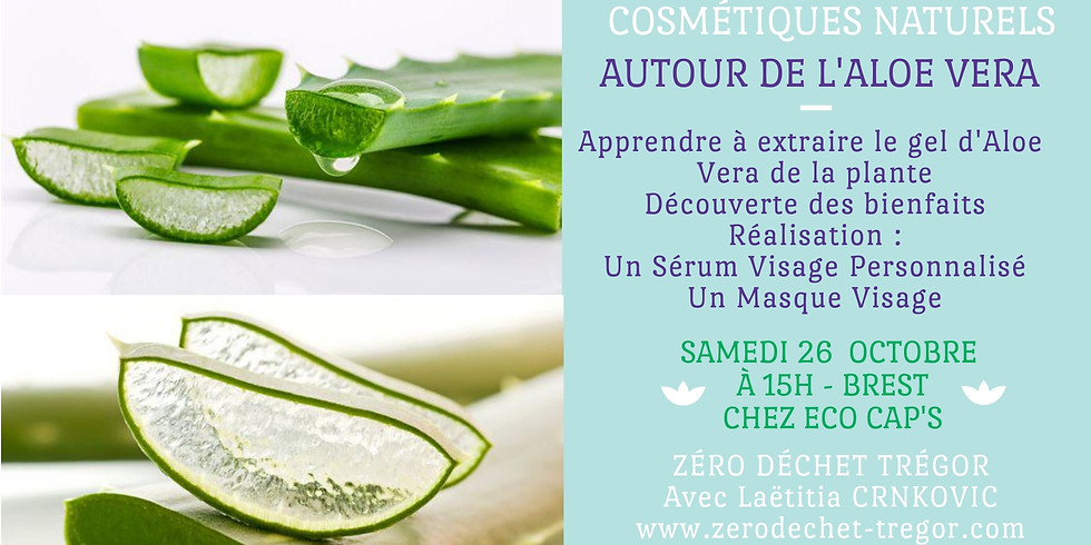 Aloé Vera : Extraction Gel d'Aloe, Masque Visage & Sérum Visage