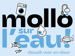 La coordination du Défi Mollo sur l'eau a été une grande réussite !