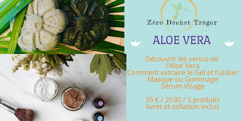 Aloé Vera : Extraction Gel d'Aloe, Masque Visage & Sérum Visage