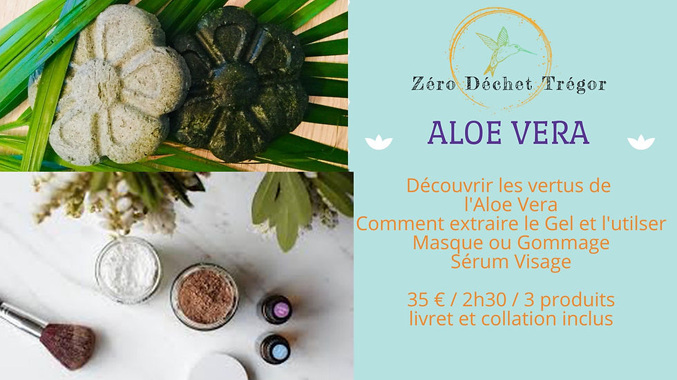 Aloé Vera : Extraction Gel d'Aloe, Masque Visage & Sérum Visage