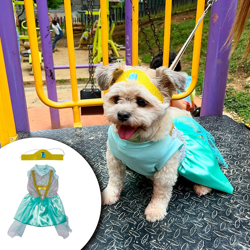 Miniatura: Disfraz para mascotas Jasmine