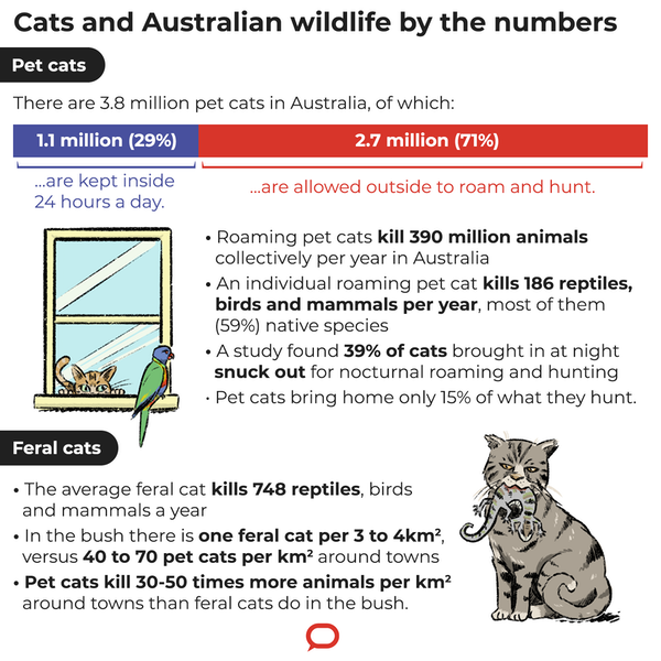 Infographic: 'Cats and Australian wildlife by the numbers'