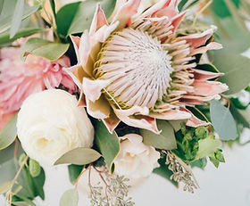 private salon Protea