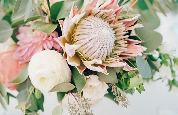 private salon Protea