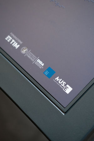 Bardini. Ingresso_2.JPG