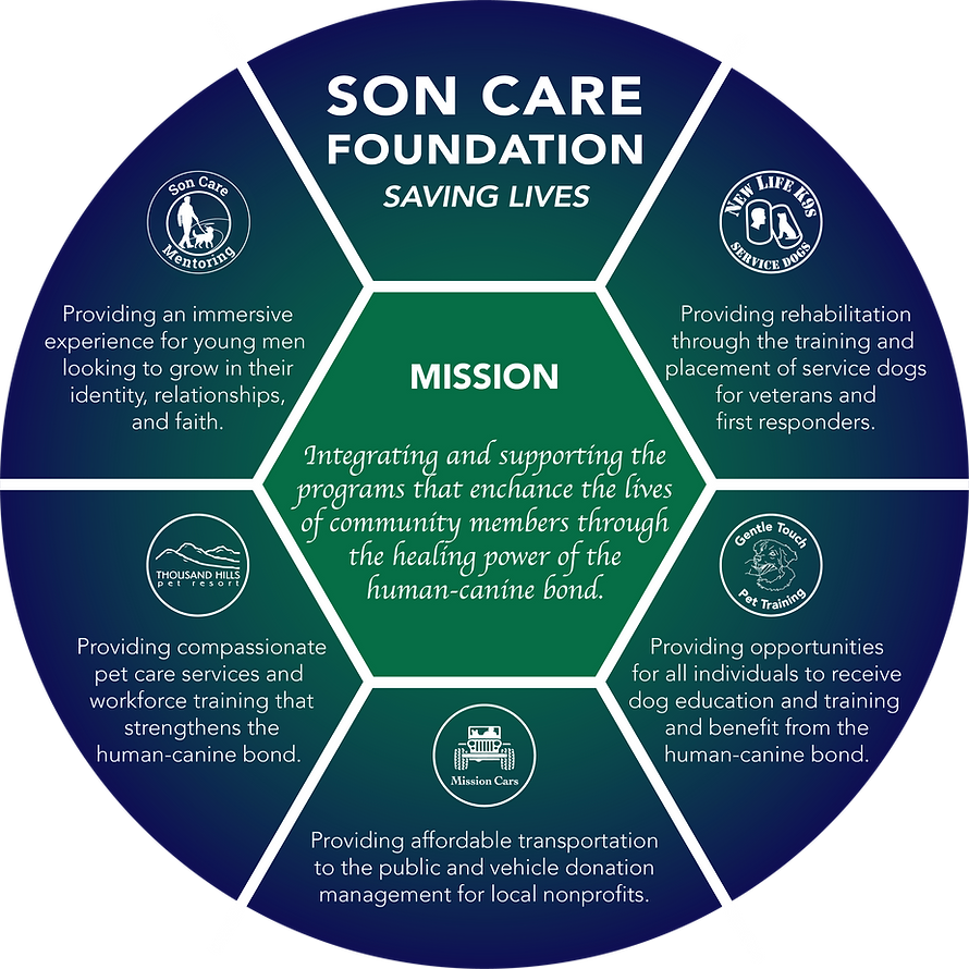 SonCareCircleGraphic-5.4.26 (1).png