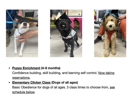 Newsletter screenshot showing photos of graduating puppies
