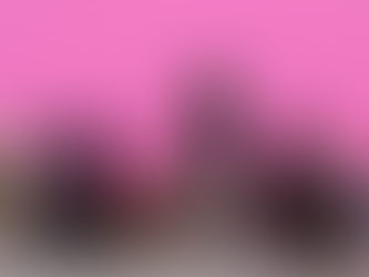 Ten dogs wearing leashes sitting in front of bright pink wall