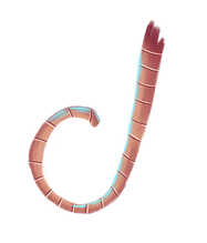 Ilustração Editorial