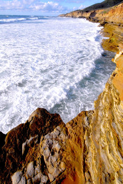DSC_0246.JPG