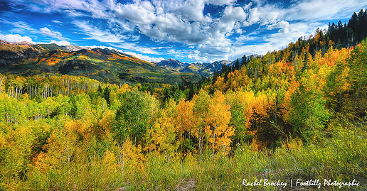 Telluride's Dallas Divide Sweep Oil_edit