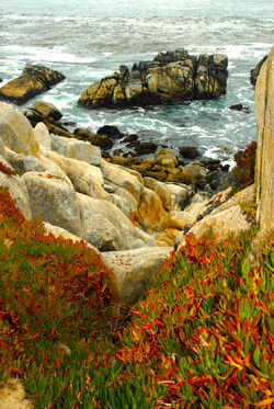 Ghost Tree Boulders sm.jpg