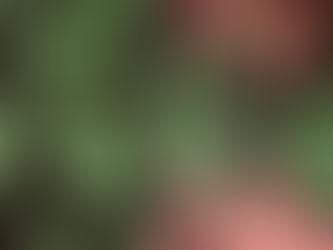 Hemp Underwear 大麻貼身衣物七大優點 