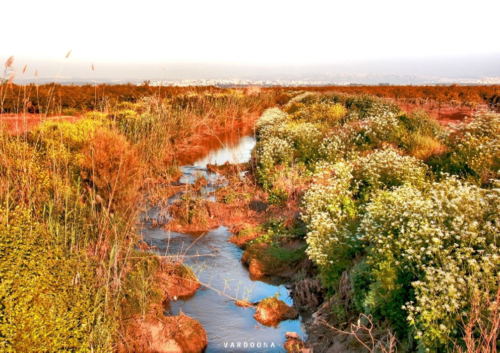 נחל זורם בין שיחים צבעוניים, ארבע עונות