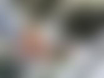 TSE divulga valores do fundo eleitoral de 2022 destinados para cada partido; saiba valores