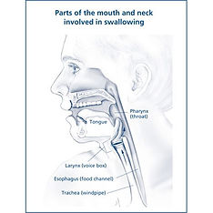 esophageal stricture treatment near me