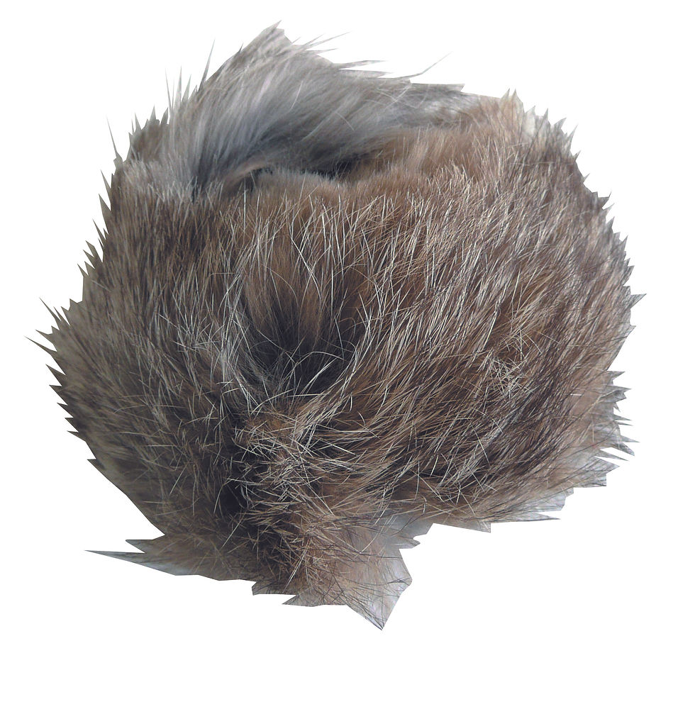Thumbnail: A rabbit ball.