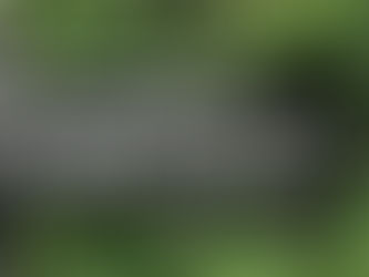 The Benefits of NBIs (Nature Based Interventions)