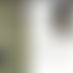 Bringing Mental Health Conversations to Troop 1 Hong Kong