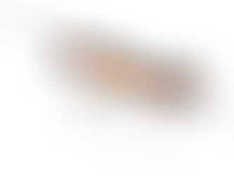 Mitä voimme oppia muurahaisilta?