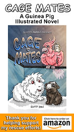 cagemates_amazon.jpg