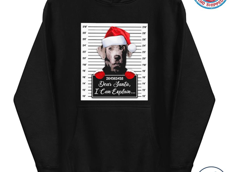 Santa Labrador dear santa I can explain 2022 Christmas Sweater