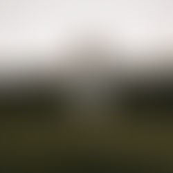 It’s a Matter of Trust: Choreographing and Practicing the Moves in Your Lifedance