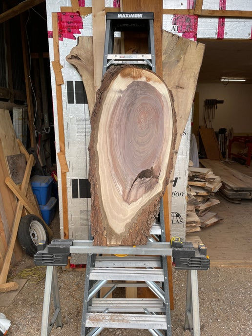 Walnut Oval Slab
